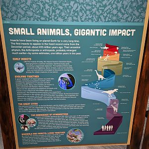 Signage: Small Animals Gigantic Impact