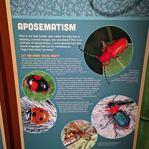Signage on Aposematism