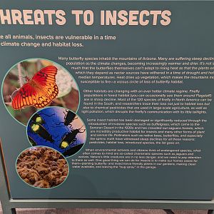 Signage on Threats to Insects