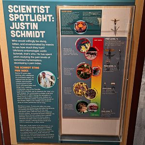 Signage on University of Arizona Entomologist, Justin Schmidt