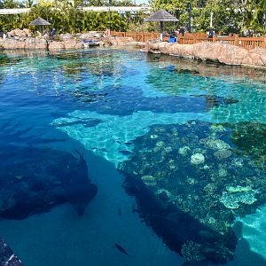 Shark Bay - Reef Lagoon