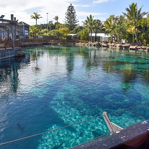 Shark Bay - Shark Lagoon