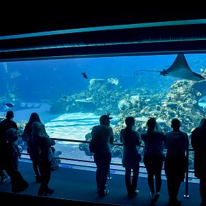 Shark Bay - Reef Lagoon
