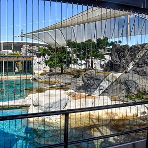 Polar Bear Shores - main exhibit