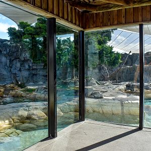 Polar Bear Shores - main viewing window