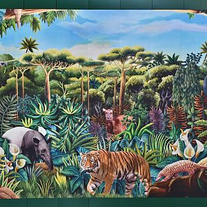 Rainforest Wild visual