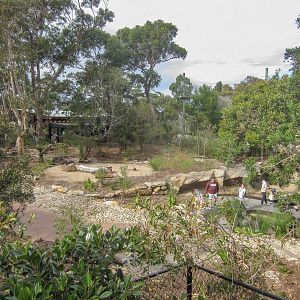 Macropod Walkthrough