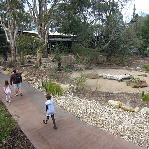 Macropod Walkthrough