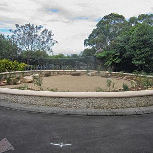 Cultural Garden - formerly the site of the Spider Monkey enclosure