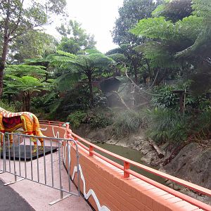 Goodfellow's Tree Kangaroo exhibit