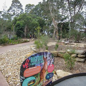 Macropod Walkthrough