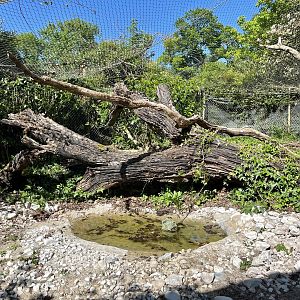 Left side of Caracara Exhibit