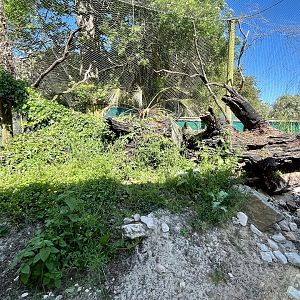 Centre of Caracara Exhibit
