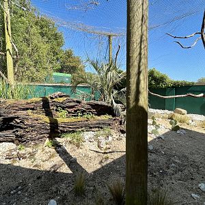 Right side of Caracara Exhibit