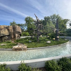 White-faced capuchin exhibit