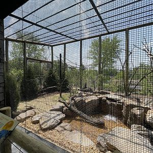 Red Panda Ridge aviary
