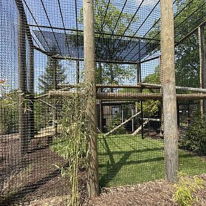 Red Panda/Reeve’s Muntjac exhibit