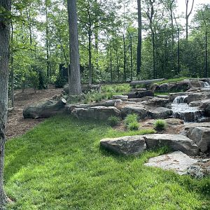 Sumatran tiger exhibit
