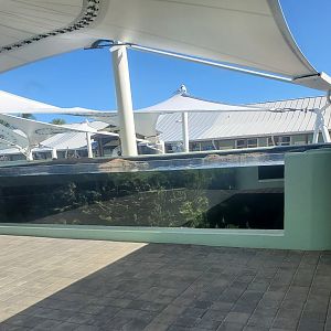 Loggerhead Center (2022) - Outdoor fish tank