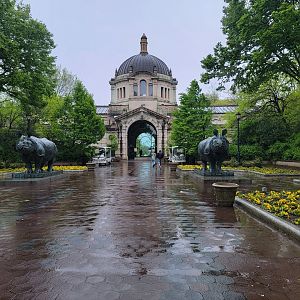 Bronx - Zoo Center
