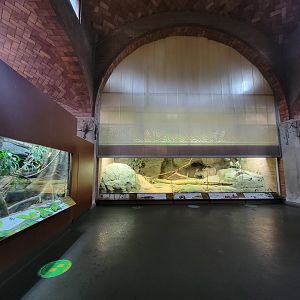 Bronx - Zoo Center, blue monitor on left, Komodo in front