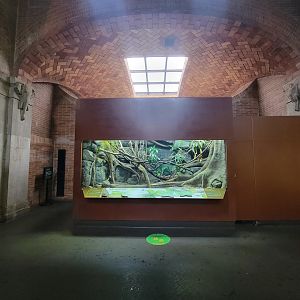 Bronx - Zoo Center, blue tree monitor