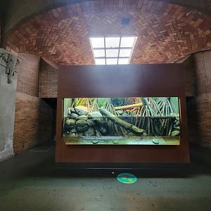 Bronx - Zoo Center, turtle, signed for Mertens water monitor