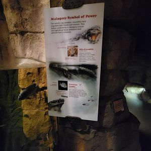 Bronx - Madagascar, Nile crocodile signage