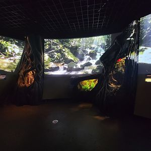 Bronx - Madagascar, nocturnal room