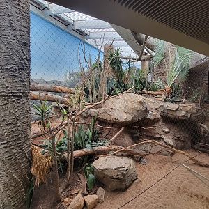 Bronx - Madagascar, Spiny Forest