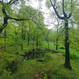 Bronx - Monorail, Tiger yard