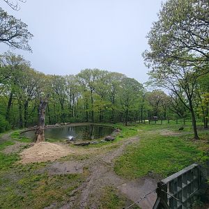 Bronx - Monorail, Elephant pool area