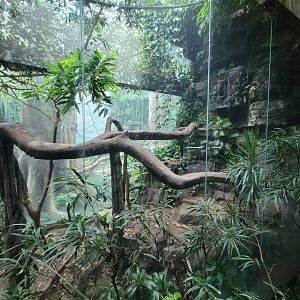 Bronx - Jungle World, Leopard exhibit