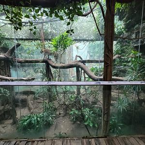 Bronx - Jungle World, Leopard exhibit