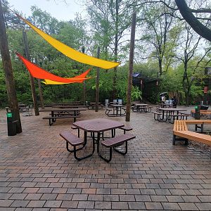 Bronx - Asia, tables where the camel rides used to be