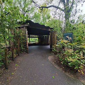 Bronx - Africa Trail, African wild dog viewing hut