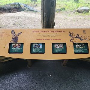 Bronx - Africa Trail, African wild dog signage