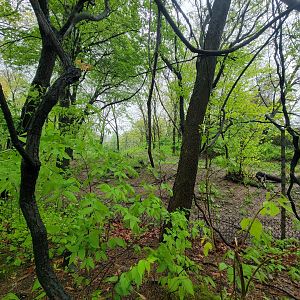 Bronx - Africa Trail, end of African wild dog yard