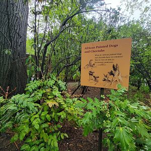 Bronx - Africa Trail, a not so informative sign about cheetahs and wild dogs