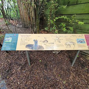 Bronx - Africa Trail, Spotted hyena signs