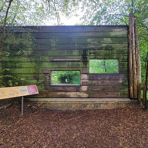 Bronx - Africa Trail, Spotted hyena viewing windows