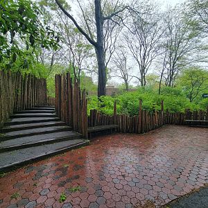 Bronx - Africa Trail, steps up to Carter Giraffe Building
