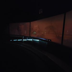 Bronx - Africa Trail, Carter Giraffe Building, Aardvark and Scops owl nocturnal exhibit