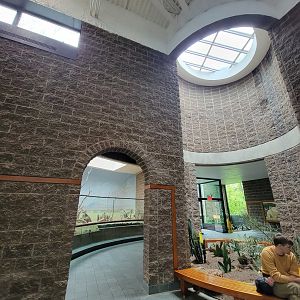 Bronx - Africa Trail, Carter Giraffe Building architecture