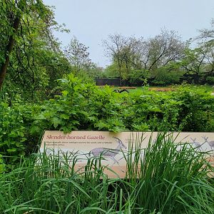Bronx - Africa Trail, Grevy's zebra sign