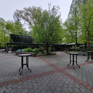 Bronx - Dancing Crane Cafe outdoor seating