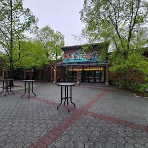 Bronx - Dancing Crane Cafe