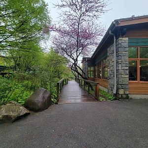 Bronx - path to the left of Dancing Crane Cafe, goes to flamingos, pheasantry, Congo