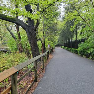 Bronx - Path along Pheasantry