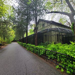 Bronx - Pheasantry, right end, Australian magpie